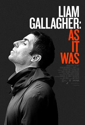 Лиам: Как всё было / Liam: As It Was (2019)