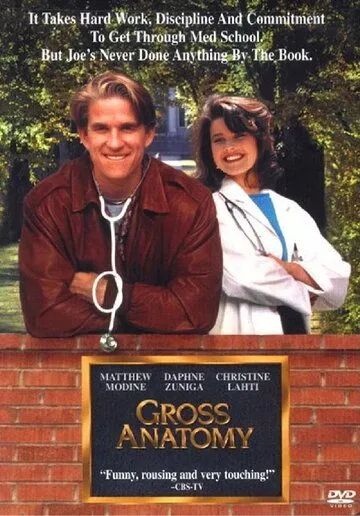 Большая медицина / Gross Anatomy (1989)