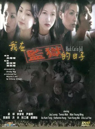 Чёрная кошка 3: В тюрьме / Ngo joi gam yuk dik yat ji (2000)