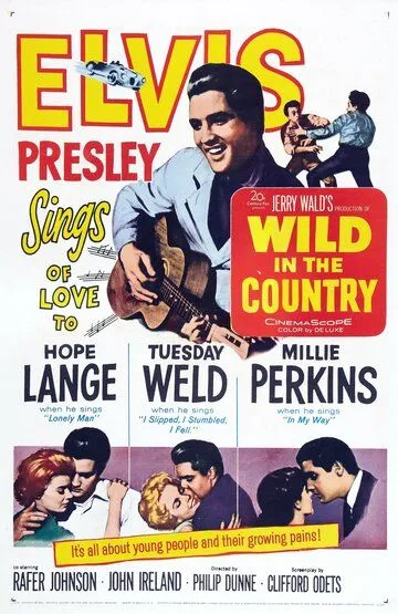 Одиночка / Wild in the Country (1961)