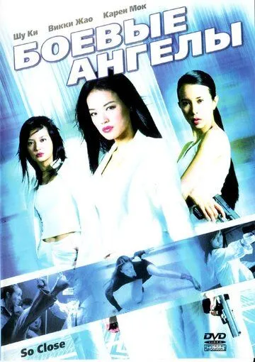 Боевые ангелы / Chik yeung tin si (2002)