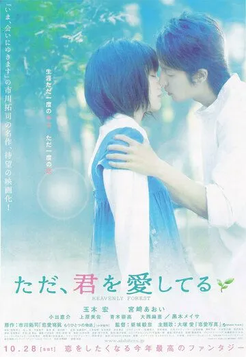 Я просто люблю тебя / Tada, kimi o aishiteru (2006)