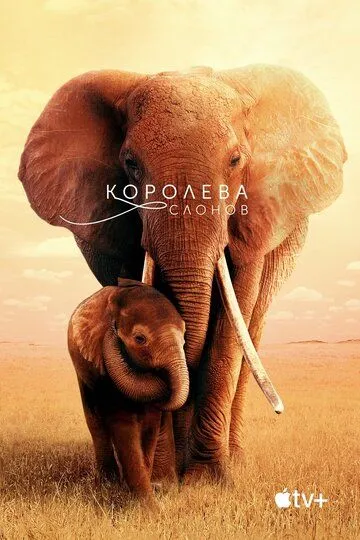 Королева слонов / The Elephant Queen (2018)