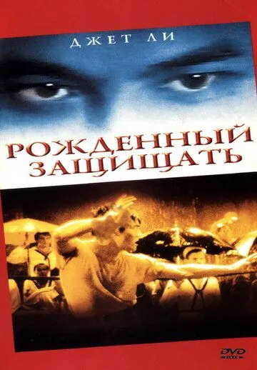 Рожденный защищать / Zhong hua ying xiong (1988)