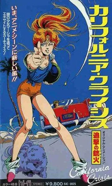Калифорнийский кризис / California Crisis: Tsuigeki no Hibana (1986)