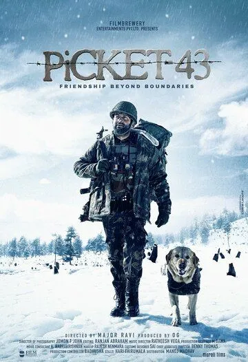 43-я застава / Picket 43 (2015)