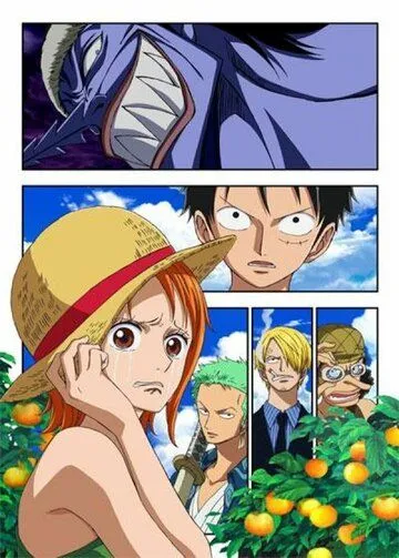 Ван-Пис: Эпизод Нами: Слёзы навигатора и узы дружбы / One Piece: Episode of Nami - Koukaishi no Namida to Nakama no Kizuna (2012)
